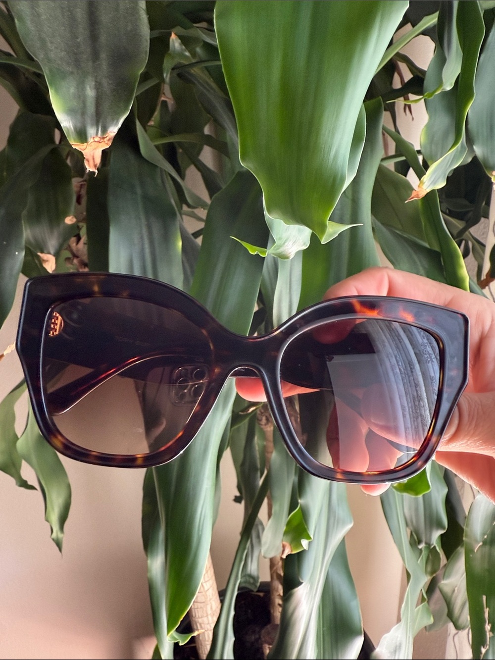 Tortoiseshell Cat-Eye Sunglasses - Brown